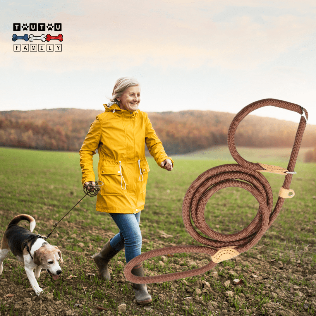 Laisse lasso chien - LassoToutou™