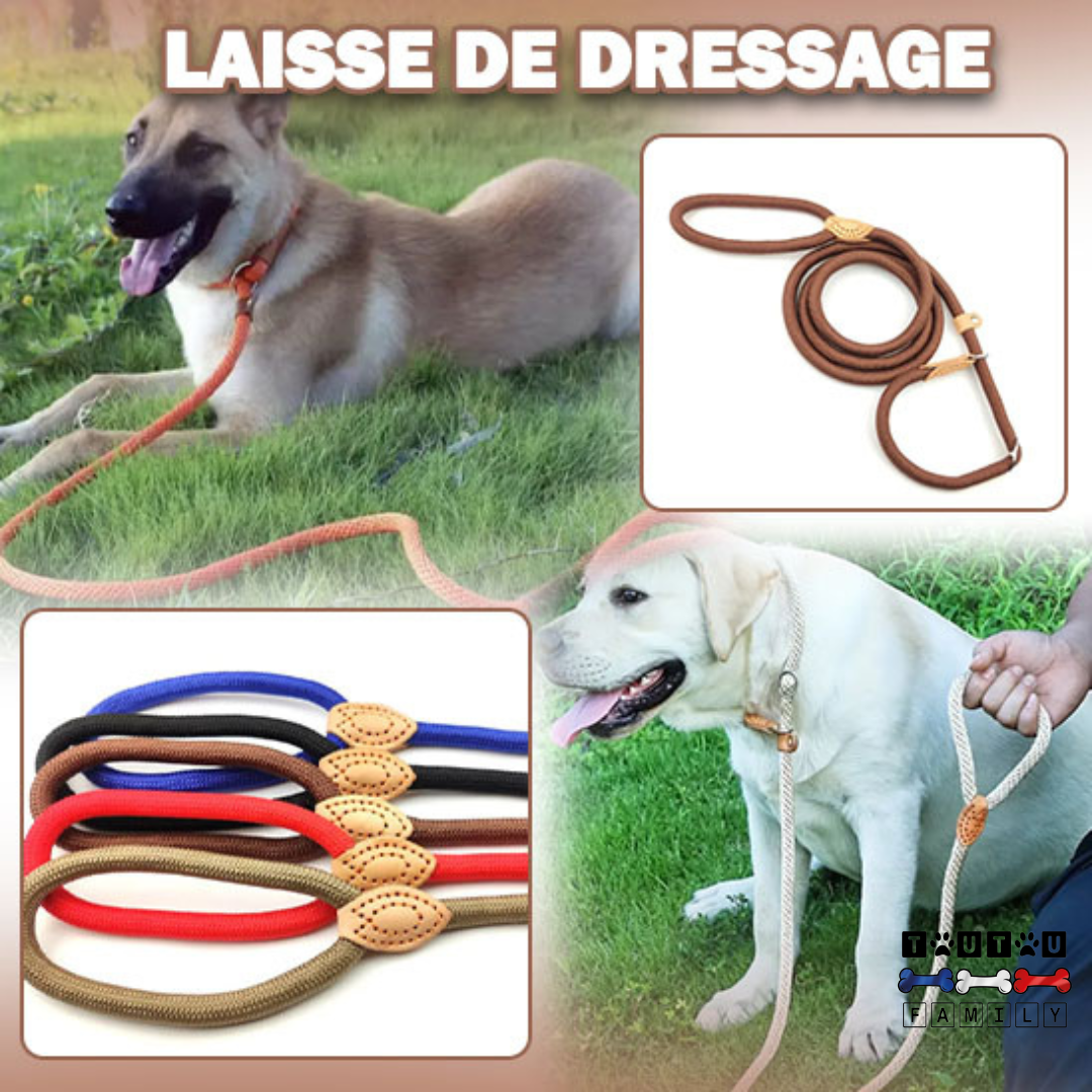 Laisse lasso chien - LassoToutou™