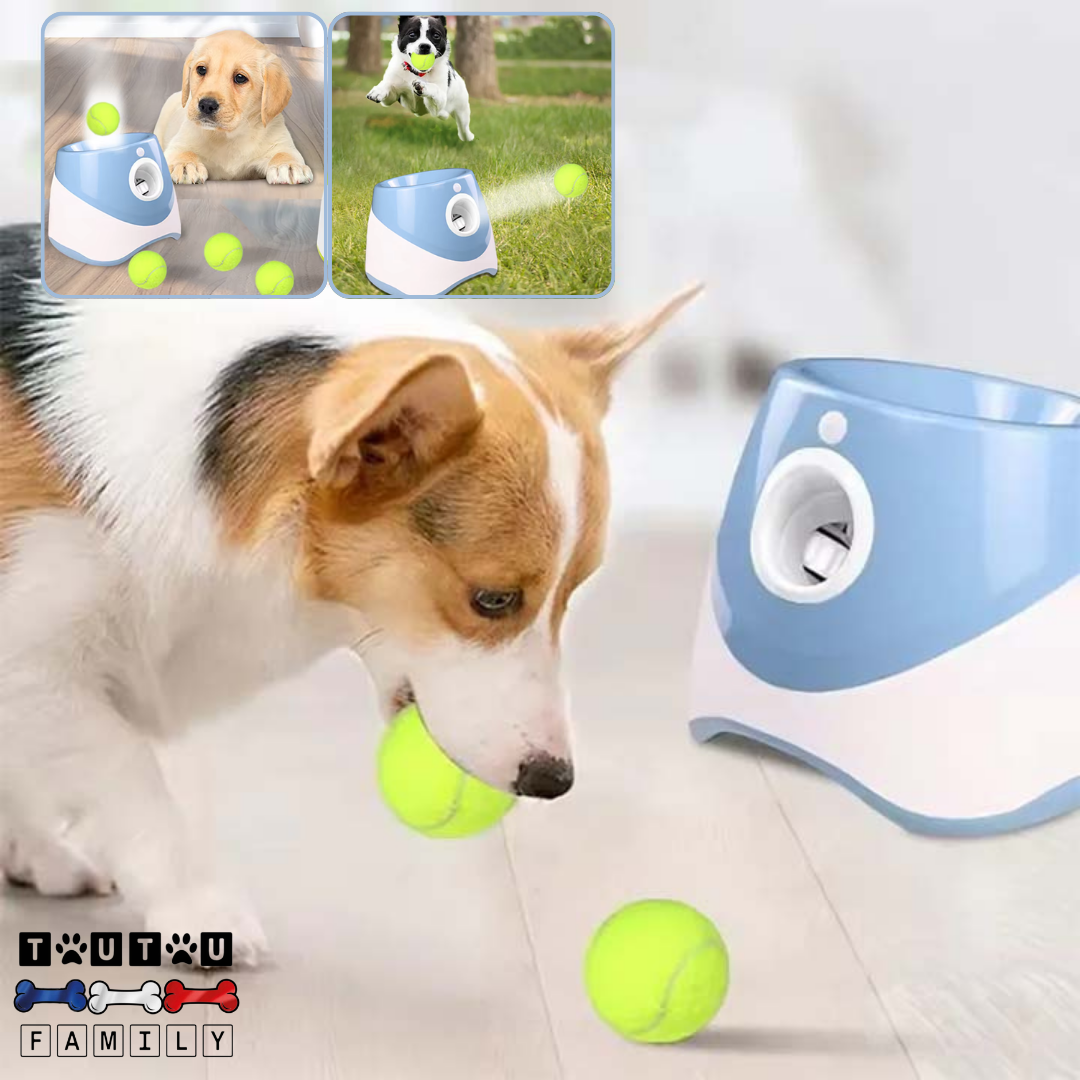 lanceur-de-balle-pour-chien-automatique-rechargeable