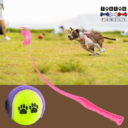 lanceur-de-balle-pour-chien-rose-avec-balle-de-tennis un chien musclé qui court à toute vitesse dans l'herbe pour attraper la balle au vol