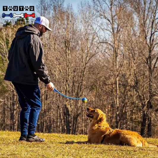 lanceur-de-balle-pour-chien-dressage un dresseur qui utilise le lanceur de balle avec sa balle de tennis avec un grand chien qui attend le lancer couché sur l'herbe