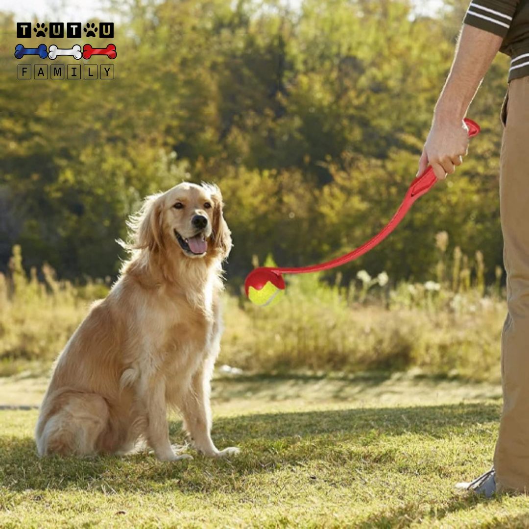 lanceurs-de-balles-pour-chien-jeu-exterieur-pour-les-chiens-de-toutes-races-et-taille