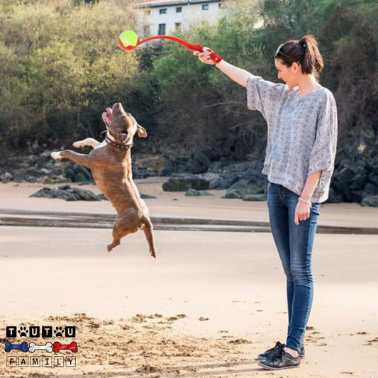 lanceurs-de-balles-pour-chien-utilisable-partout