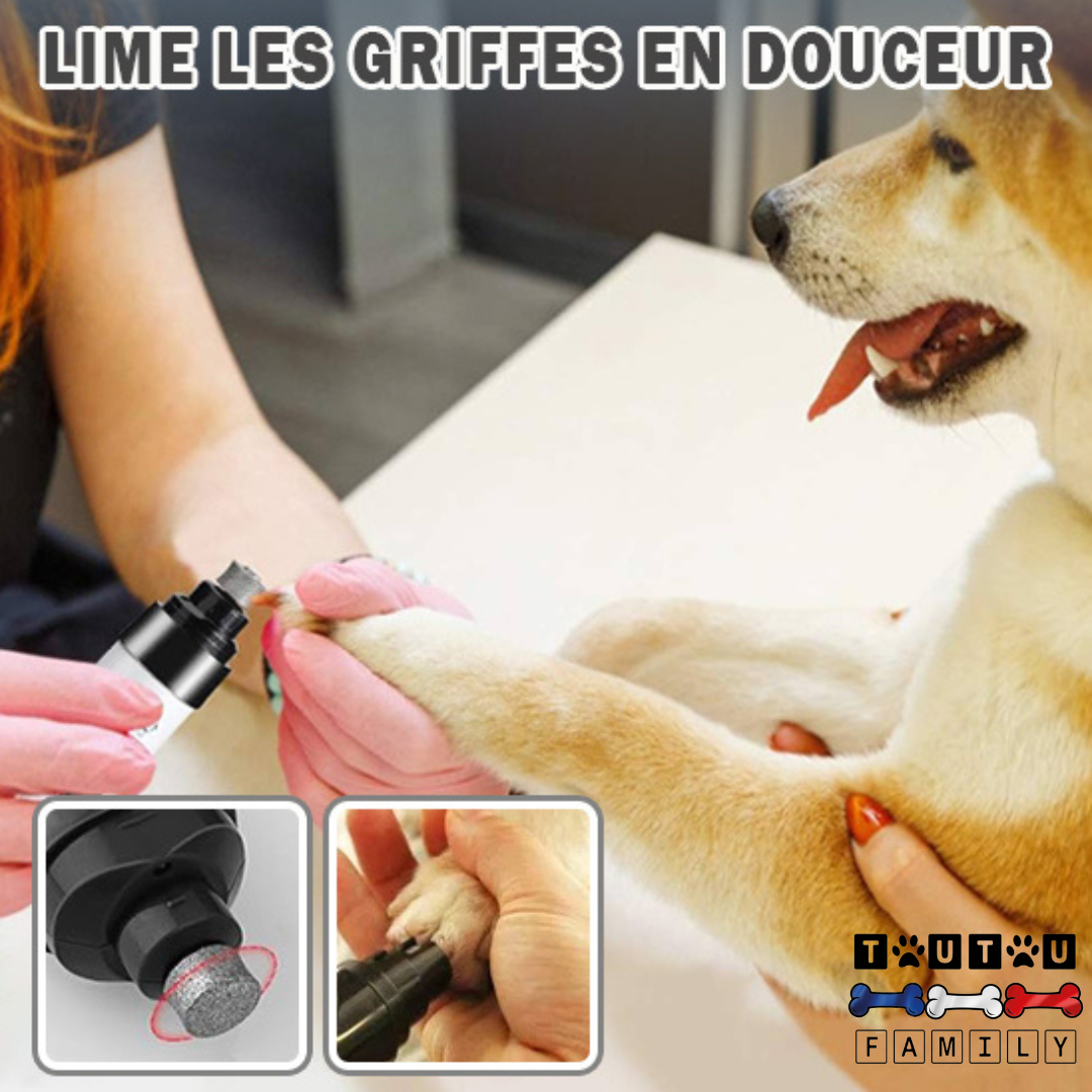 Lime à ongles pour chien - LimeToutou™