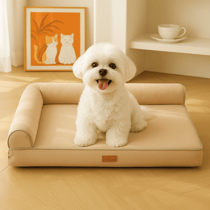 lit-canapé-chien-traversin-orthopédique-antidérapant-un bichon maltais heureux sur son lit beige avec son matelas ergonomique avec son traversin en L 100% coton haute densité déhoussable et lavable en machine