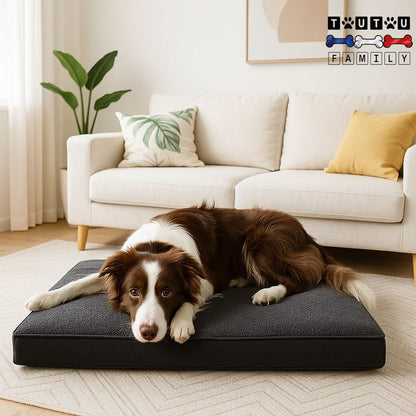 lit-chien-imperméable-un chien de taille moyenne confortablement couché sur le matelas orthopédique à mémoire de forme, idéal pour chien âgé ou souffrant de dysplasie de la hanche ou fragiles aux articulations, déhoussable et lavable en machine avec coté peluche pour l'hiver et tissu oxford résistant et respirant pour l'été