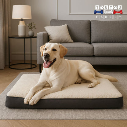 lit-chien-lavable-un labrador couleur sable couché confortablement sur le ventre et de tout son long sur son grand lit rectangulaire avec matelas à mémoire de forme 100% coton avec sa housse été hiver lavable en machine 