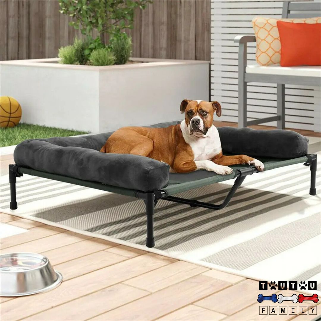 Lit-de-camp-chien-surélevé-respirant-pour-l-été-avec-couverture-en-peluche-chaude-amovible-pour-l-hiver-lit-anti-bactérien-un-chien-de-taille-moyenne-couché-sur-son-lit-de-camp-avec-boudin-intégré-dans-le-jardin-de-la-maison