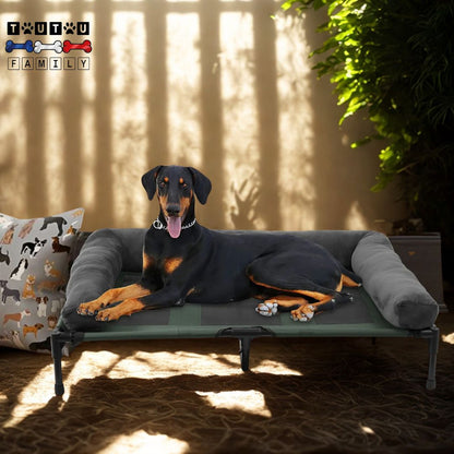 Lit-de-camp-chien-extérieur-un-chien-couché-contre-le-traversin-du-lit-surélevé-en-maille-respirante-sur-la-terrasse-intérieure-de-la-maison