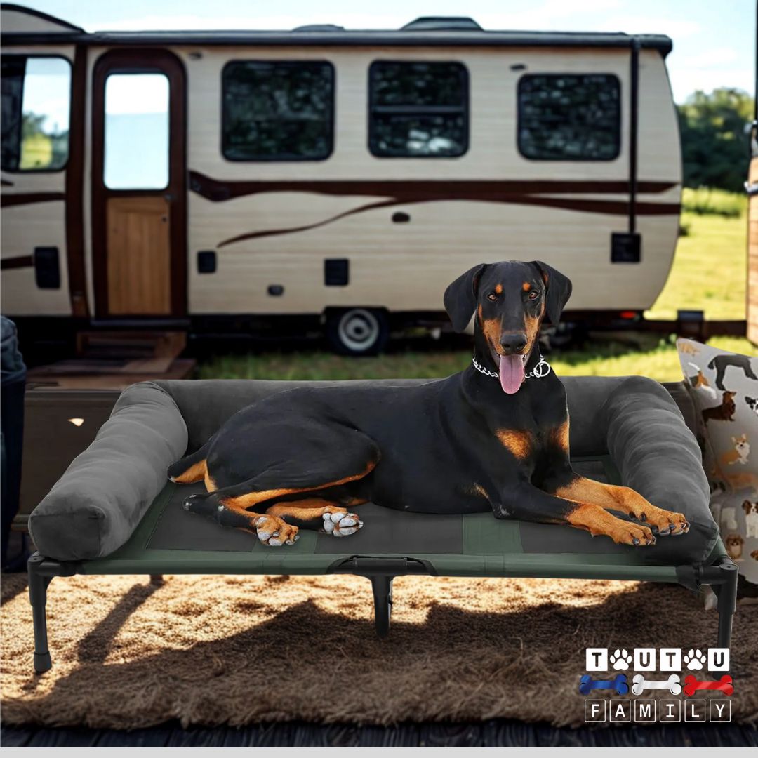 Lit-de-camp-chien-avec-traversin-surélevé-un-chien-couché-sur-le-lit-surélevé-devant-le-camping-car(en-plein-air