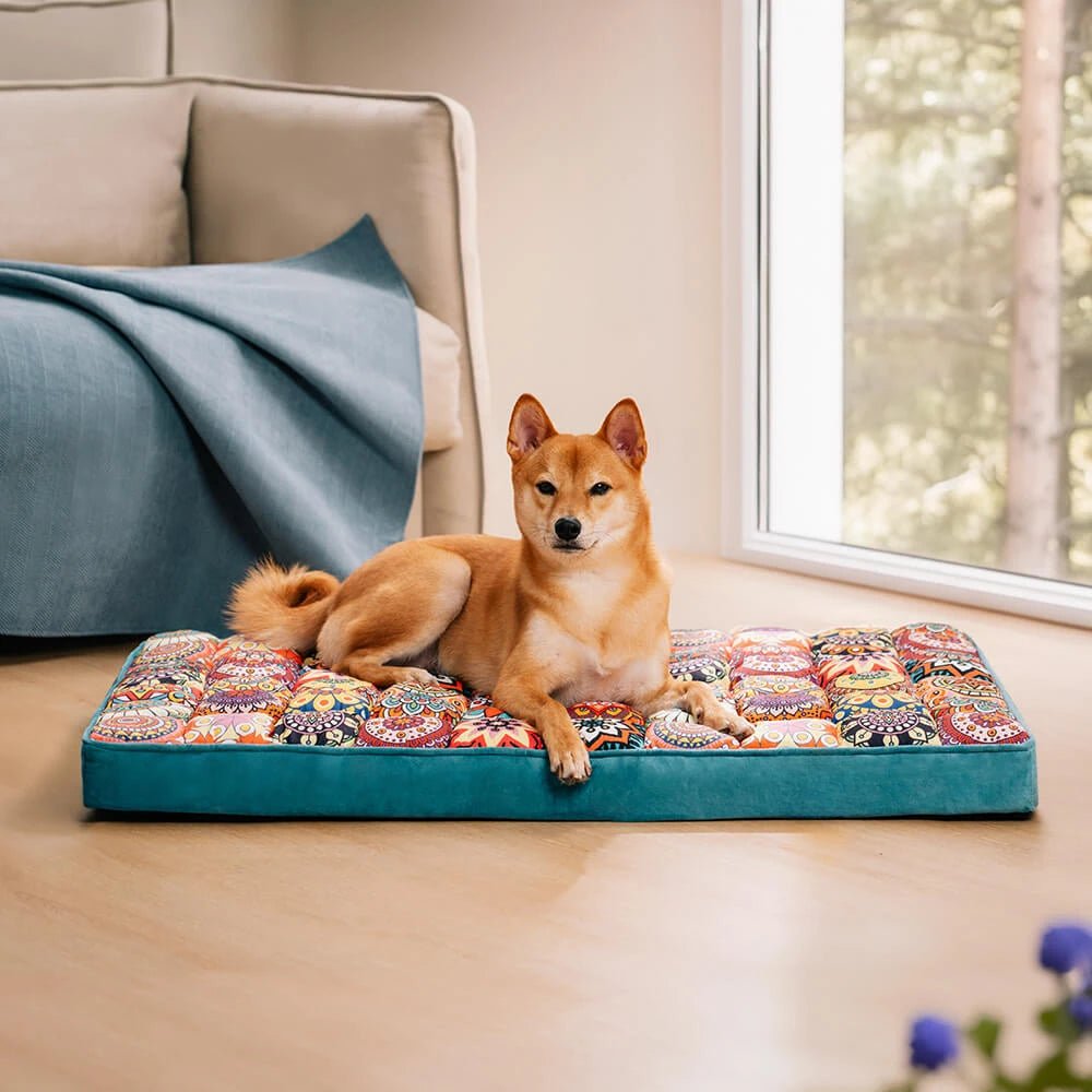 lit-orthopédique-chien-matelas-bohème-fait main-artisanal-turquoise avec mosaïque remplissage 100% Coton haute densité-déhoussable et lavable en machine antidérapant avec poignée de transport-un chien de taille moyenne couché confortablement sur son lit à mémoire de forme turquoise et motif coloré dans le salon de l'appartement