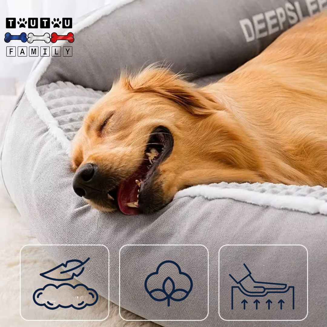 Lit-orthopédique-chien-confortable-douillet-matelas-à-mémoire-de-forme-traversin-coton-housse-lavable-en-velours-côtelé-un-chien-qui-dort-la-tête-déposé-sur-le-traversin-latéral-du-lit