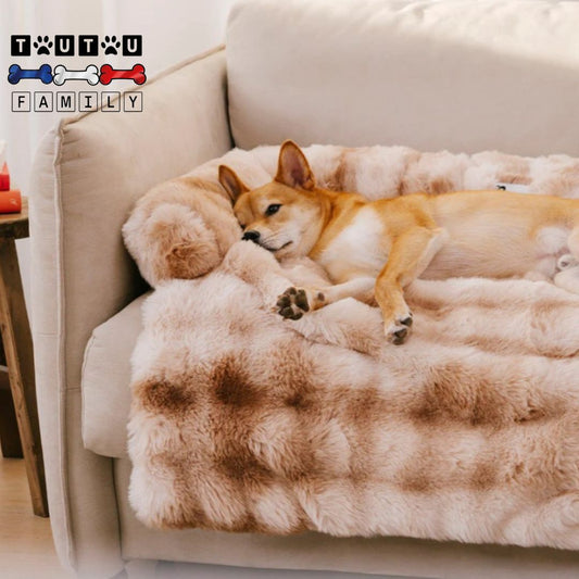 Lit-pour-chien-protège-canapé-en-peluche-un-chien-lové-sur-son-lit-marron-avec-traversin-sur-le-canapé-de-la-maison