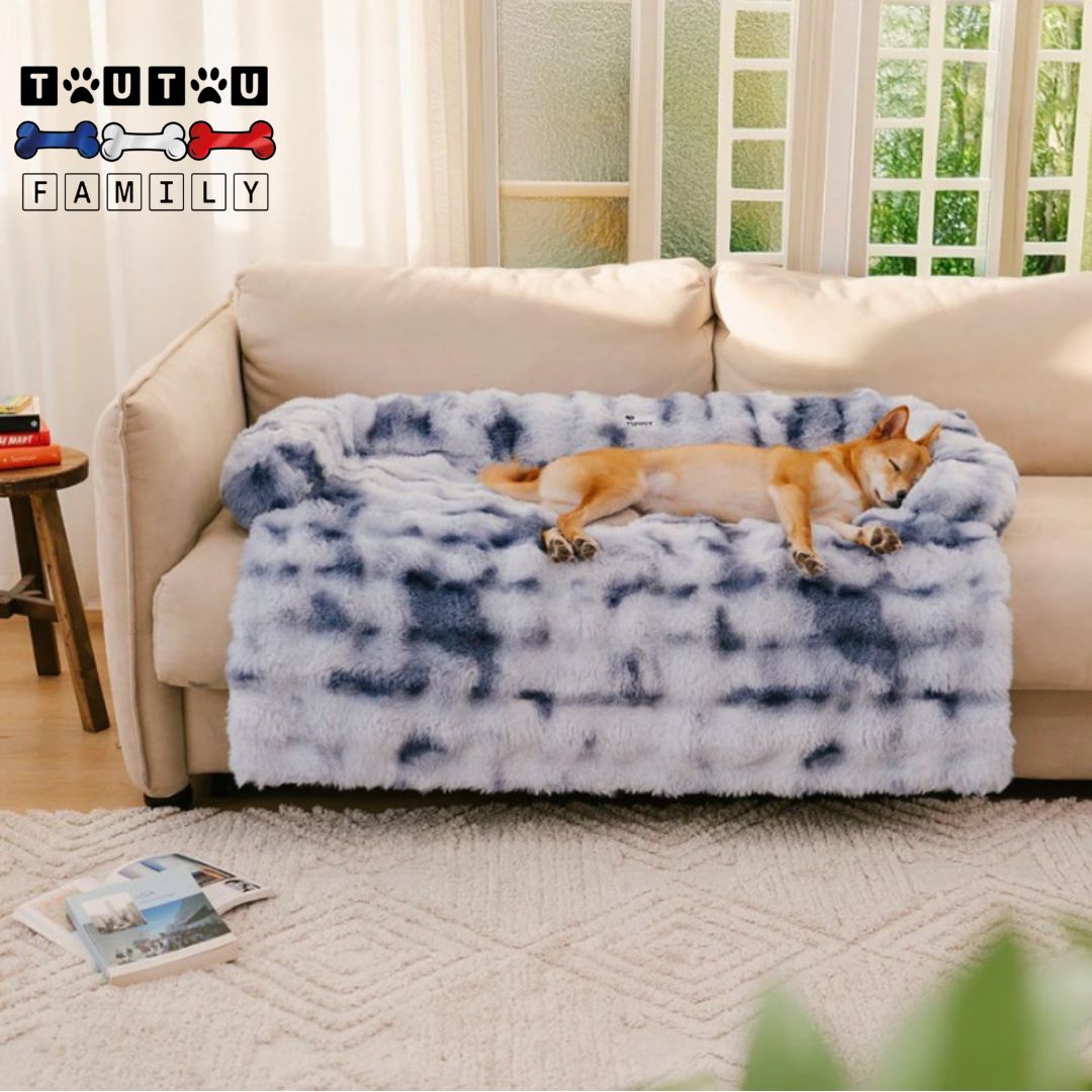 Lit-pour-chien-protège-canapé-chaud-un-chien-couché-de-tout-son-long-sur-le-lit-de-couleur-bleu-qui-protège-le-canapé-de-la-maison