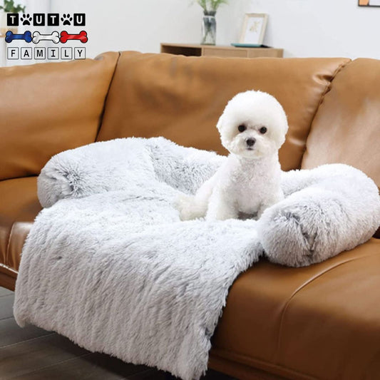 lit-pour-chien-un-coton-de-tuléar-couché-sur-son-lit-tout-doux-qui-protège-le-canapé-en-cuir
