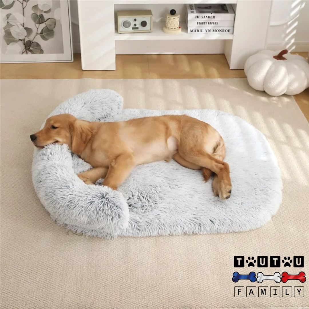 Lit-pour-chien-dehoussable-antidérapant-un-chien-couché-sur-son-lit-en-peluche-doux-hypoallergénique-avec-traversin-intégré-reposant-sa-tête-sur-le-boudin-du-lit
