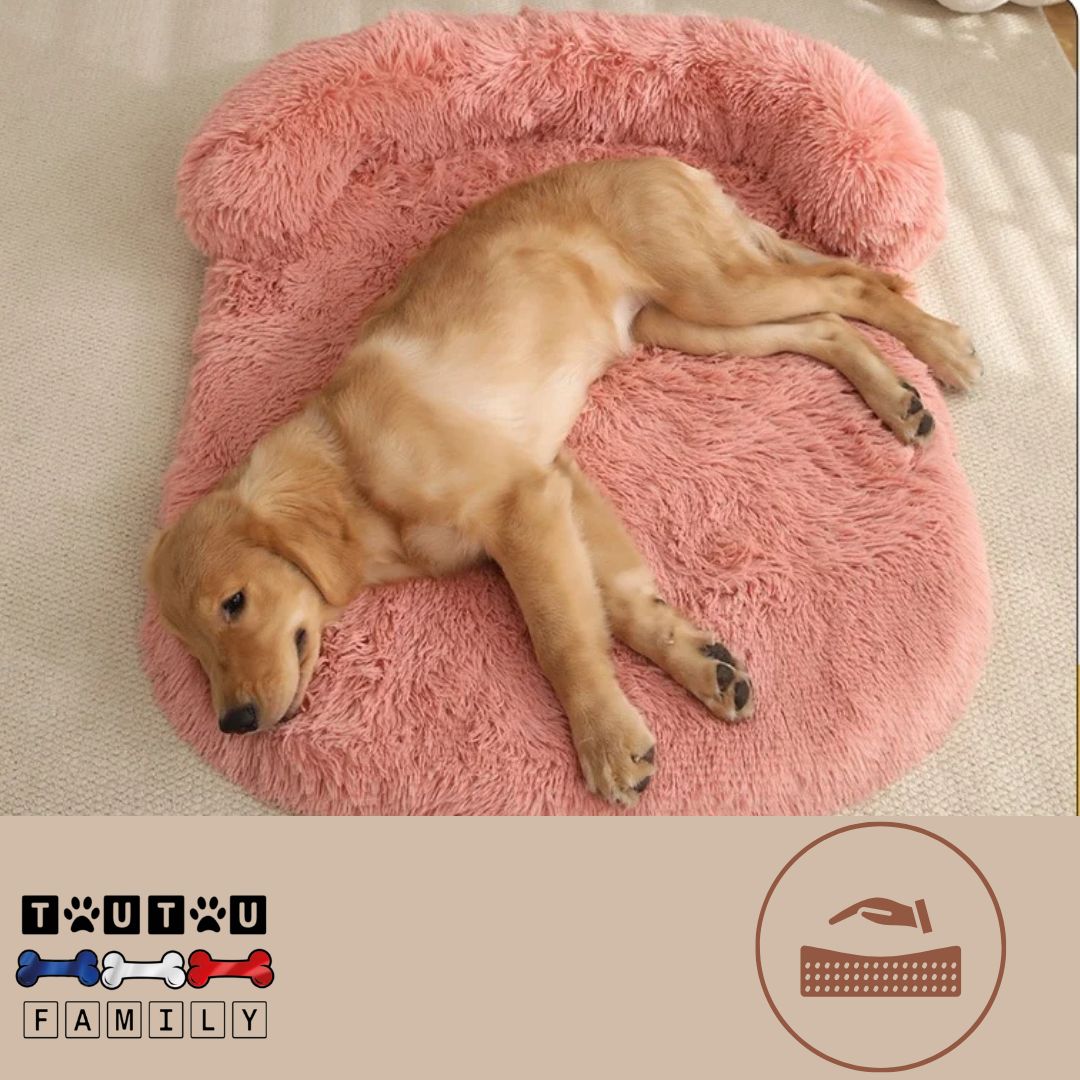 Lit-pour-chien-matelas-orthopédique-rose-un-chien-couché-de-tout-son-long-sur-le-lit-xxl-confortable-avec-matelas-à-mémoire-de-forme