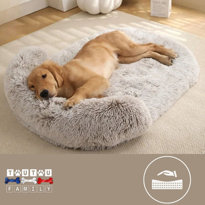 Lit-pour-chien-matelas-orthopédique-un-chien-qui-dort-paisiblement-la-tête-niché-dans-le-traversin-du-lit-au-matelas-à-mémoire-de-forme-déhoussable-et-lavable