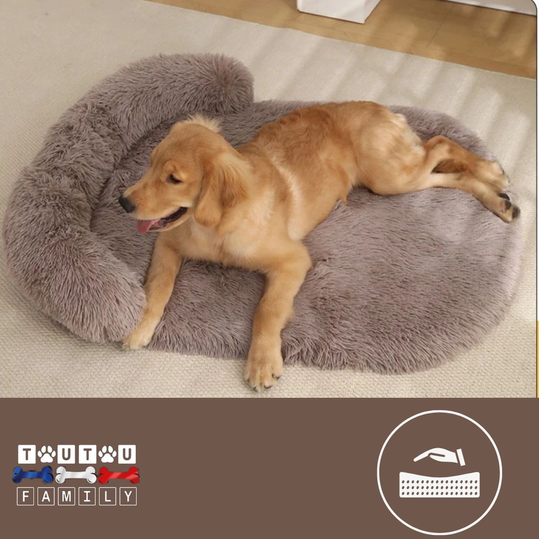 Lit-pour-chien-marron-matelas-orthopédique-un-chien-couché-confortablement-sur-son-matelas-à-mémoire-de-forme-avec-son-traversin-intégré-de-couleur-marron-clair