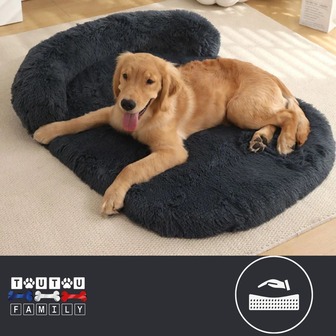 Lit-pour-chien-matelas-orthopédique-gris-foncé-un-très-grand-chien-couché-sur-son-lit-xxl-en-peluche-déhoussable-avec-traversin-ergonomique-intégré