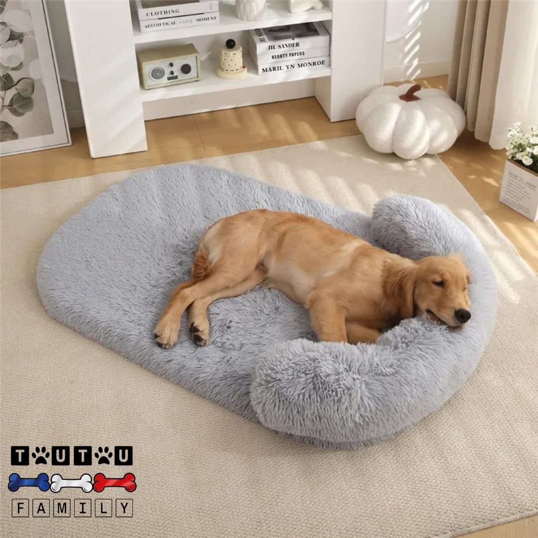 Lit-pour-chien-orthopedique-avec-traversin-ergonomique-un-golden-couché-avec-sa-tête-posé-sur-le-traversin-intégré-avec-housse-en-peluche-imperméable-et-lavable-en-machine