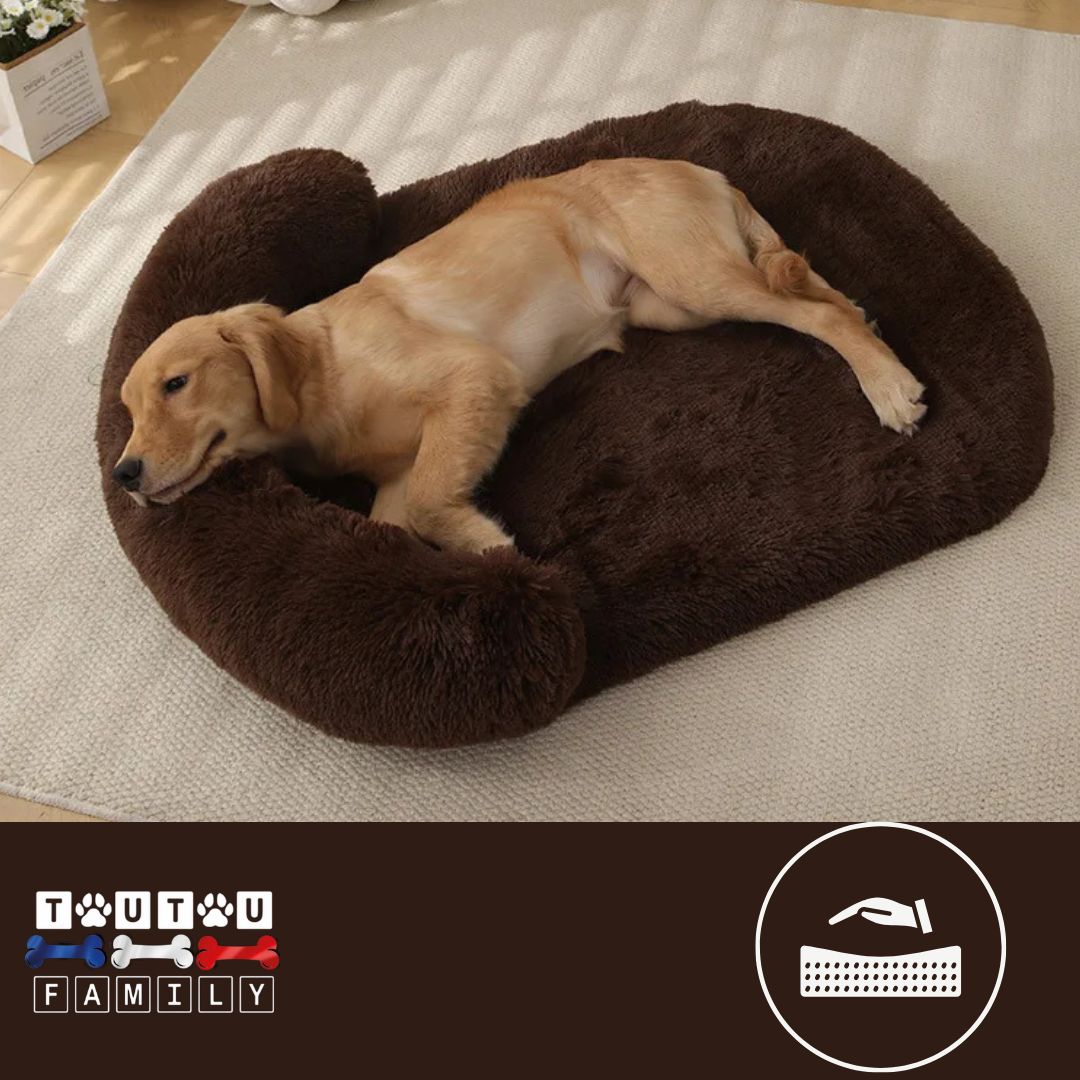 Lit-pour-chien-matelas-orthopédique-chocolat-un-golden-qui-dort-dans-son-lit-xxl-avec-traversin-en-fausse-fourrure-avec-matelas-orthopédique