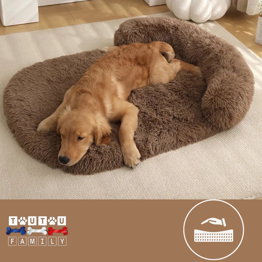 Lit-pour-chien-matelas-orthopédique-marron-foncé-un-chien-couché-sur-le-ventre-le-derrière-niché-dans-le-traversin-doux-et-moelleux-matelas-100%-coton