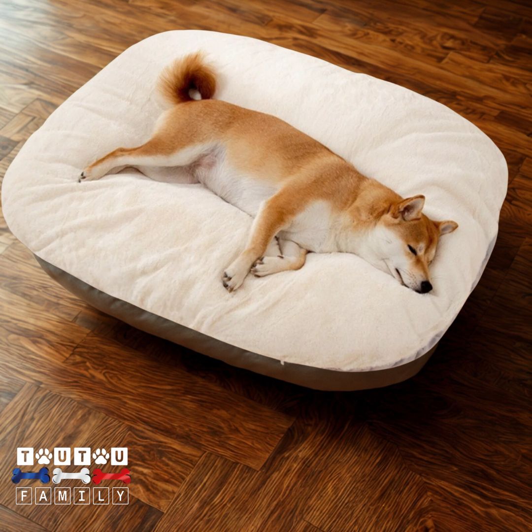 Lit-pour-chien-déhoussable-crème-un-chien-couché-sur-le-flanc-et-de-tout-son-long-sur-son-lit-coussin-moelleux-et-épais-pour-chiot-chien-de-petite-à-moyenne-taille