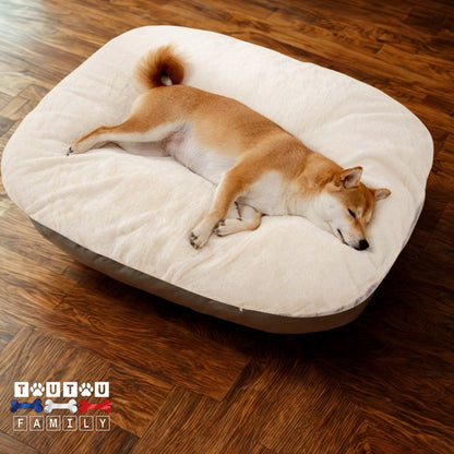 Lit-pour-chien-déhoussable-crème-un-chien-couché-sur-le-flanc-et-de-tout-son-long-sur-son-lit-coussin-moelleux-et-épais-pour-chiot-chien-de-petite-à-moyenne-taille
