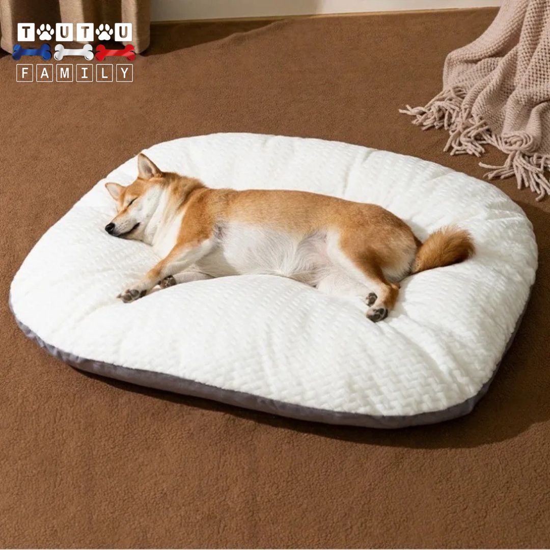 Lit-pour-chien-dehoussable-lavable-en-machine-un-chien-couché-sur-toute-sa-longueur-qui-dort-paisiblement-dans-son-lit-douillet-avec-rebord-pour-un-soutien-ergonomique-parfait-lit-qui-épouse-de-la-morphologie-canine