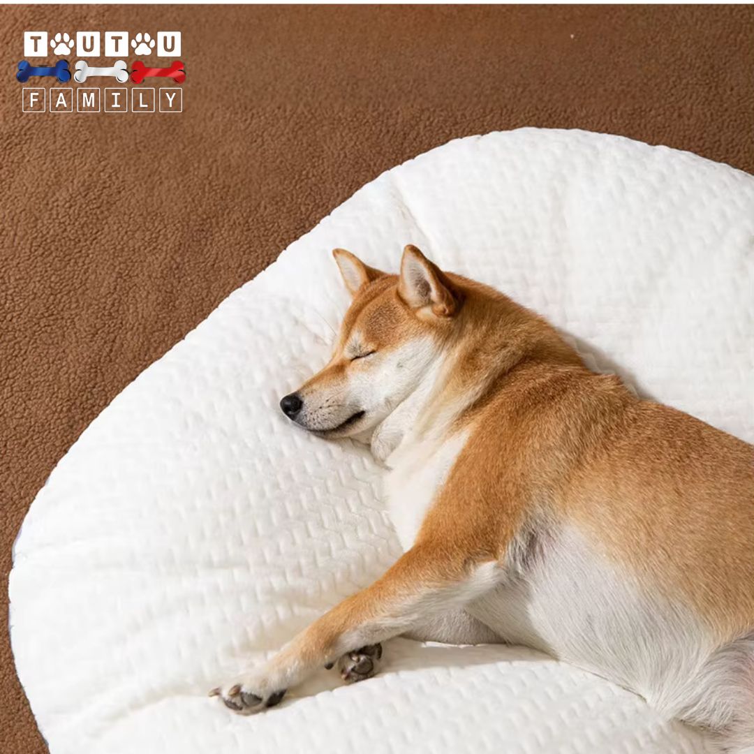 Lit-pour-chien-ergonomique-un-chien-couché-sur-le-flanc-qui-dort-paisiblement-enfoncé-dans-son-lit-au-rembourrage-épais-100%-coton-déhoussable-et-lavable-en-machine