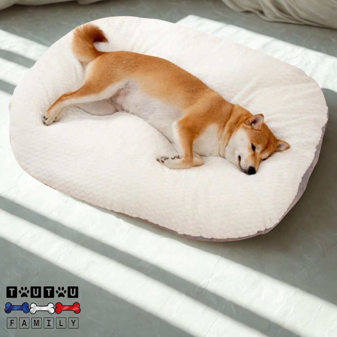Lit-pour-chien-dehoussable-blanc-un-shiba-inu-qui-dort-paisiblement-sur-son-lit-moelleux-rembourré-en-coton-respirant-chaud-4-saison-utilisable-comme-coussin-pour-panier-chien
