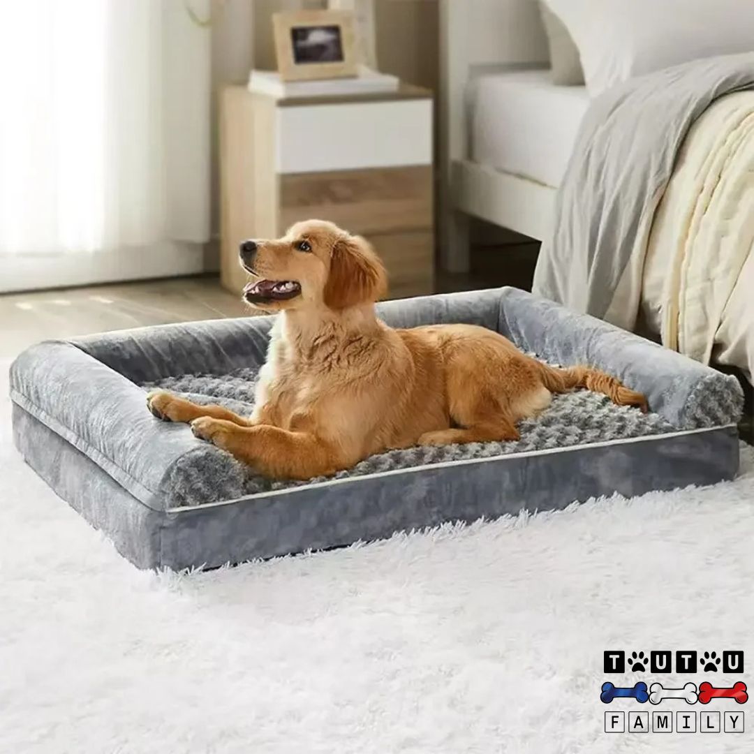 Lit-pour-chien-orthopédique-déhoussable-lavable-un-grand-chien-couché-confortablement-sur-son-lit-avec-coussin-intégré-à-côté-du-lit-de-son-maitre-dans-la-chambre