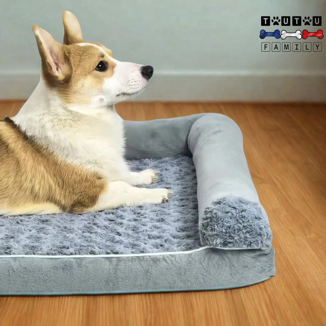 Lit-pour-chien-orthopédique-déhoussable-doux-un-welsh-corgi-couché-sur-le-ventre-de-tout-son-long-sur-son-lit-ergonomique-avec-matelas-à-mémoire-de-forme-protéger-du-froid-du-sol-en-parquet