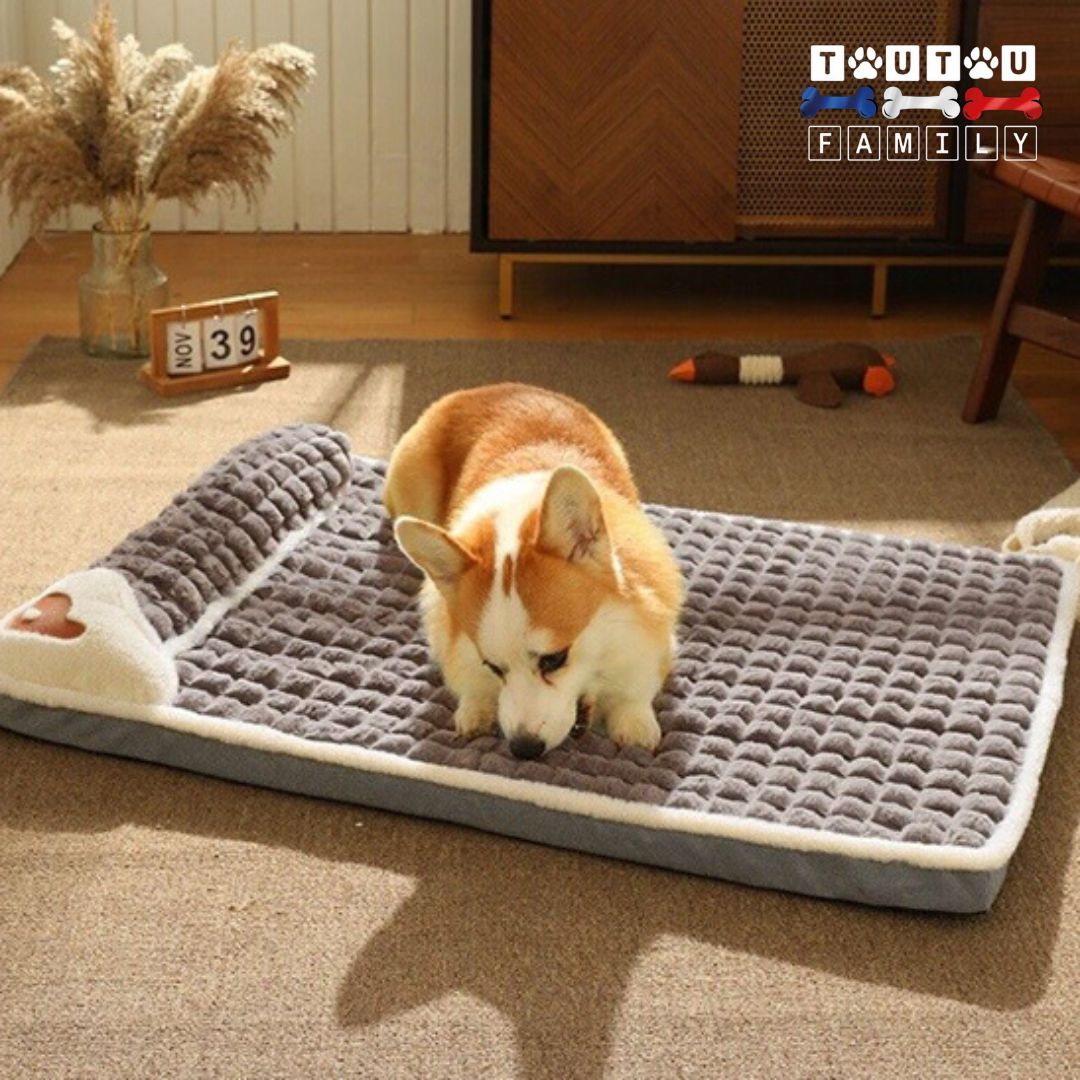Lit-pour-chien-orthopedique-déhoussable-gris-un chien qui mord et n'abime pas la housse solide et résistante aux morsures et griffes des chiens lavable en machine antidérapant et 100% imperméable