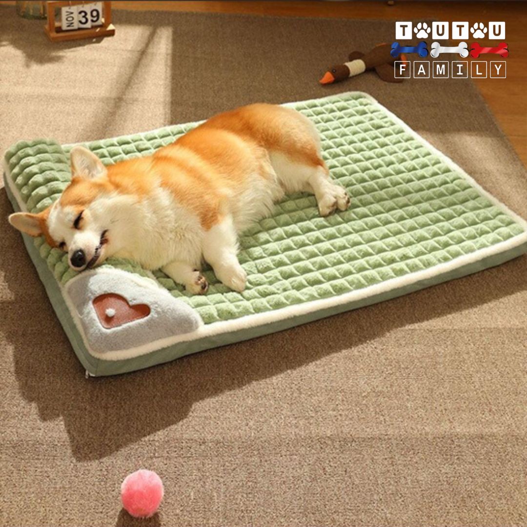 Lit-pour-chien-orthopédique-déhoussable-avec-coussin intégré coton PP haute densité indéformable pour un soutien ergonomique et cervical un chien qui dort paisiblement avec sa tête reposant sur le traversin 100% coton PP haute densité