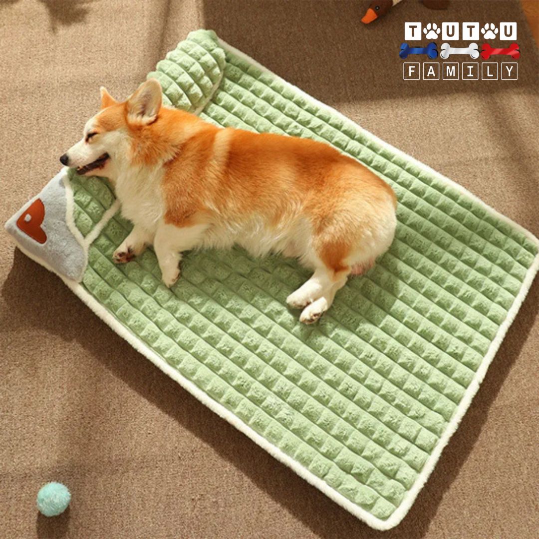 Lit-pour-chien-orthopédique-déhoussable-résistant-avec-traversin-intégré 100% coton haute densité un chien de taille moyenne-qui-dort sur le flanc sur son grand lit spacieux et ergonomique
