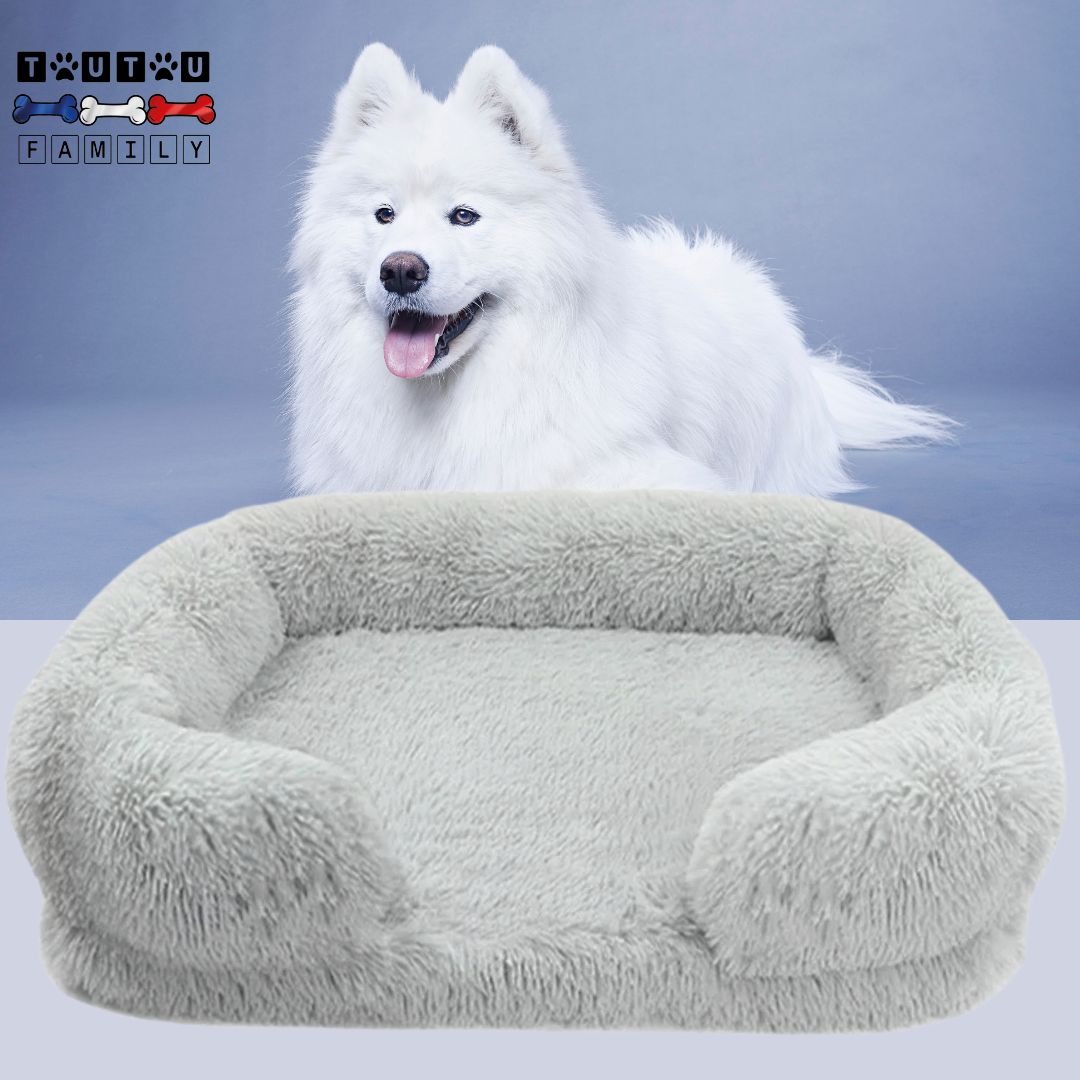 lit-orthopedique-pour-chien-gris-clair-berger-blanc-suisse-derrière-le-lit