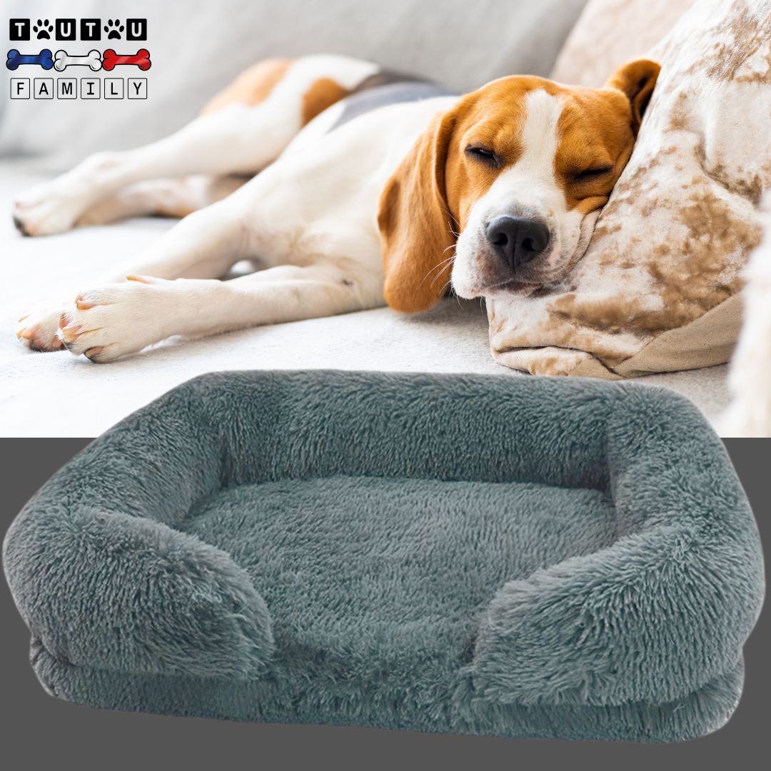 lit-orthopedique-pour-chien-gris-un-beagle-qui-dort