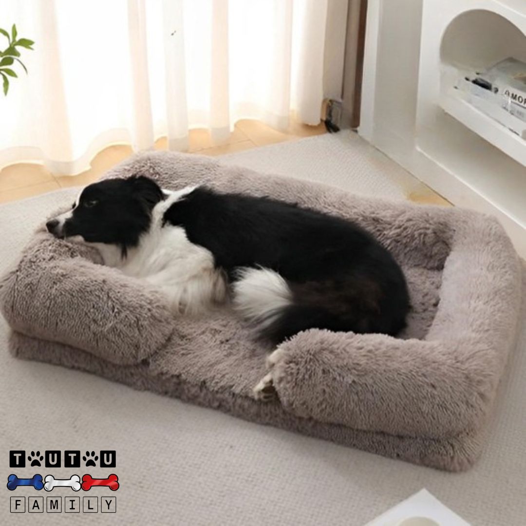 lit-orthopedique-pour-chien-mémoire-de-forme-un-border-collie-couché-confortablement-dans-son-lit-orthopédique-en-peluche-de-couleur-marron-beige