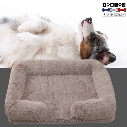 lit-orthopedique-pour-chien-beige-un-jack-russel-tout-mignon-couché-sur-le-dos-les-pattes-avant-jointe-sur-son-ventre