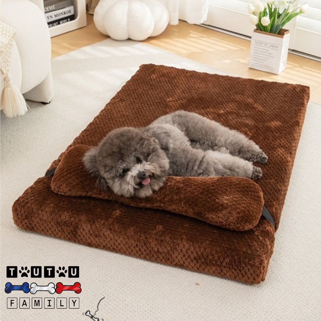 Lit-pour-chien-orthopédique-avec-coussin-amovible-imperméable-ultra-doux-déhoussable-et-lavable-un-chien-qui-dort-la-tête-reposé-sur-le-coussin-en-forme-d-os-dans-le-salon