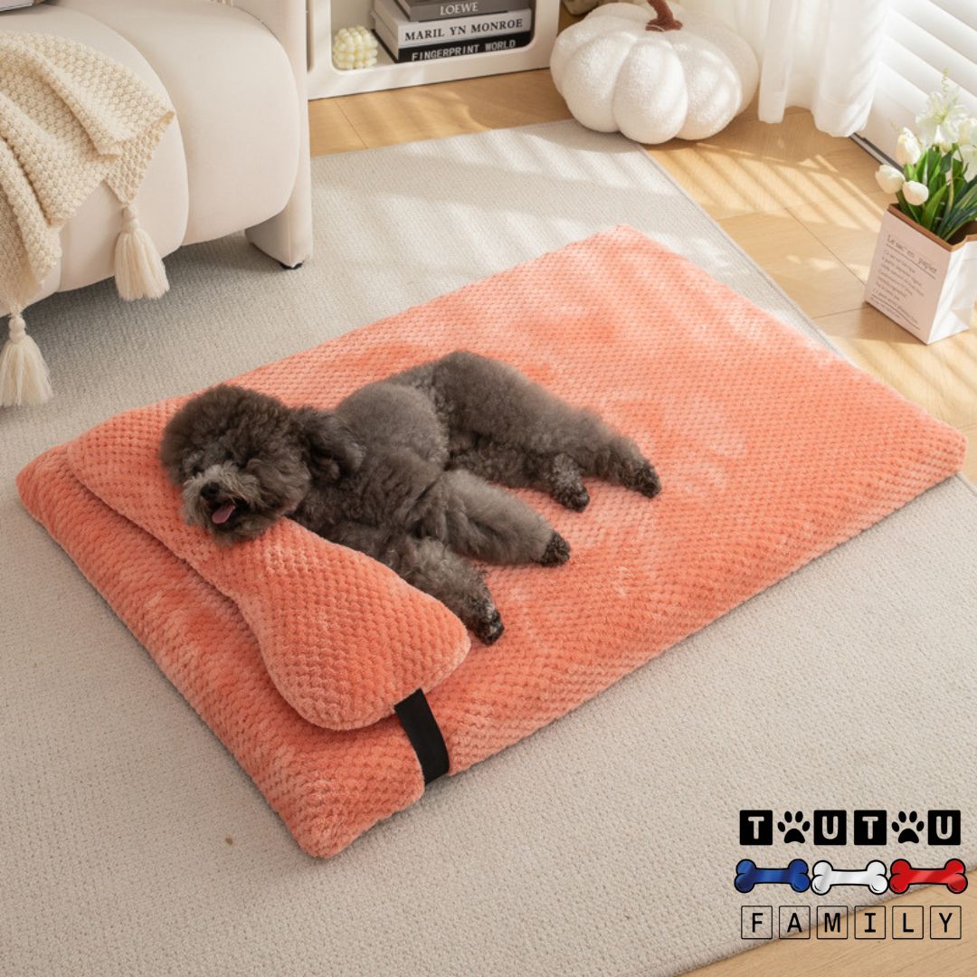 Lit-pour-chien-orthopédique-avec-coussin-déhoussable-lavable-en-machine-un-chien-qui-dort-sur-on-lit-ergonomique-rose-au pied du-lit-de-son-maitre-dans-la-chambre
