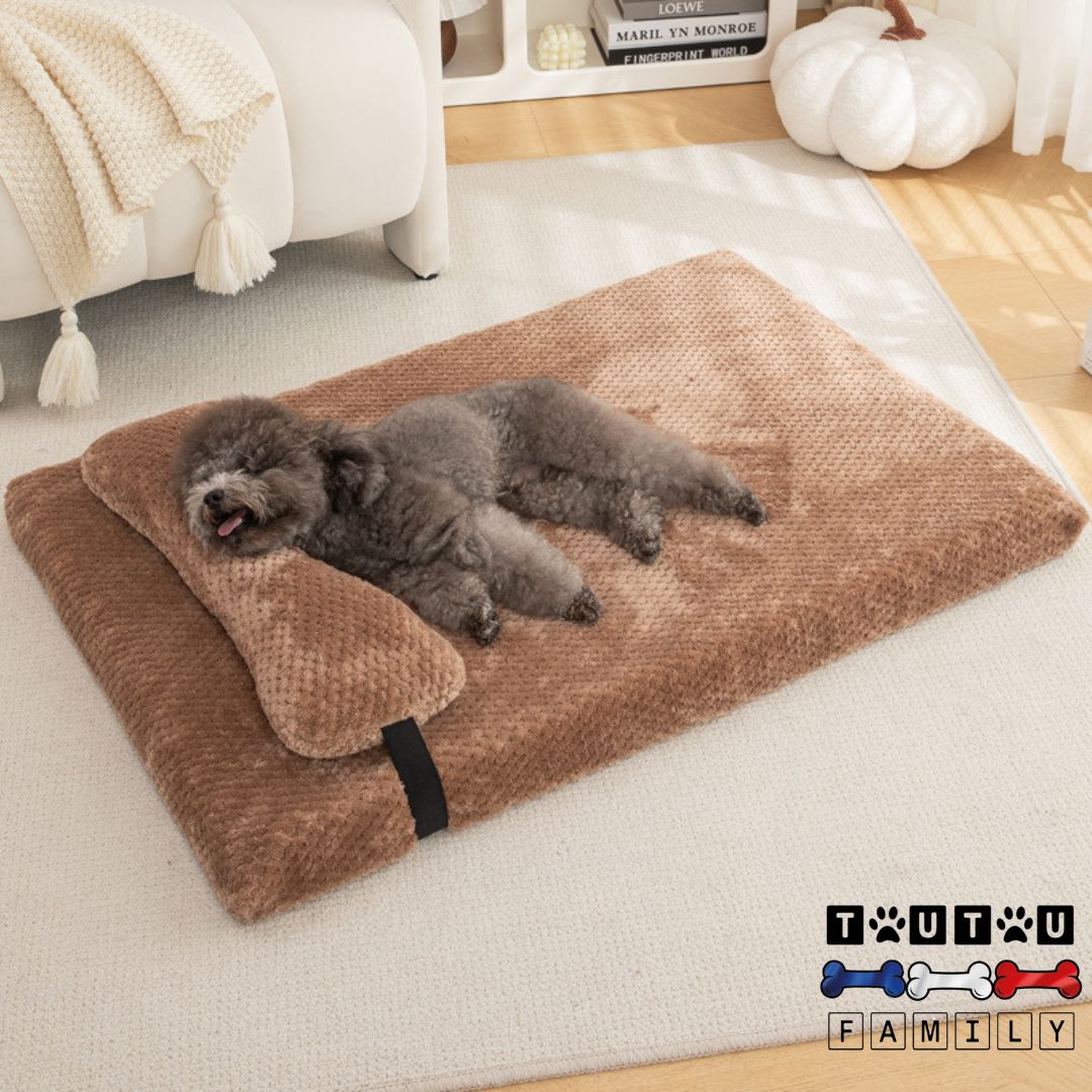 Lit-pour-chien-orthopedique-avec-coussin-amovible-dehoussable-lavable-en-machine-pour-les-petit-moyen-et-grand-chien-un-chien-qui-dort-sur-le-flanc-avec-sa-tête-reposant-sur-l-oreiller-du-lit-dans-la-chambre