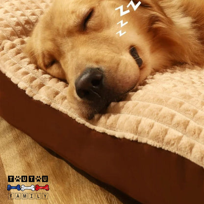Lit-pour-chien-xxl-dehoussable-lavable-imperméable lavable en machine antidérapant avec rebord, un grand chien qui dort la tête reposant sur le bord du lit surélevé par le matelas à mémoire de forme qui s'adapte parfaitement à sa morphologie, préserve ses articulations pour des repos réparateurs et une récupération musculaire optimale