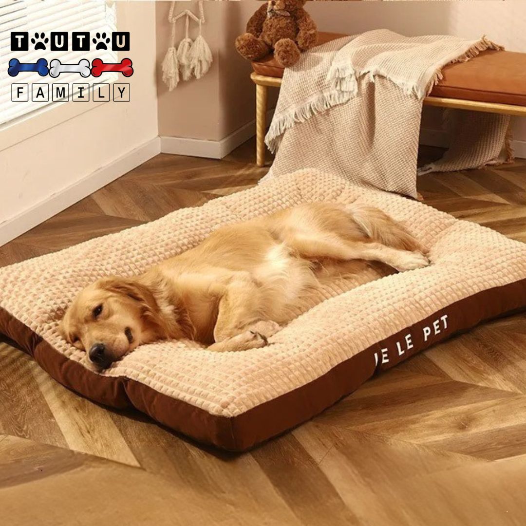 Lit-pour-chien-déhoussable-marron-un-golden-retriever-qui-dort-sur-le-flanc-sur-son-lit-ergonomique-rembourrage-100%-coton-imperméable-et-antidérapant
