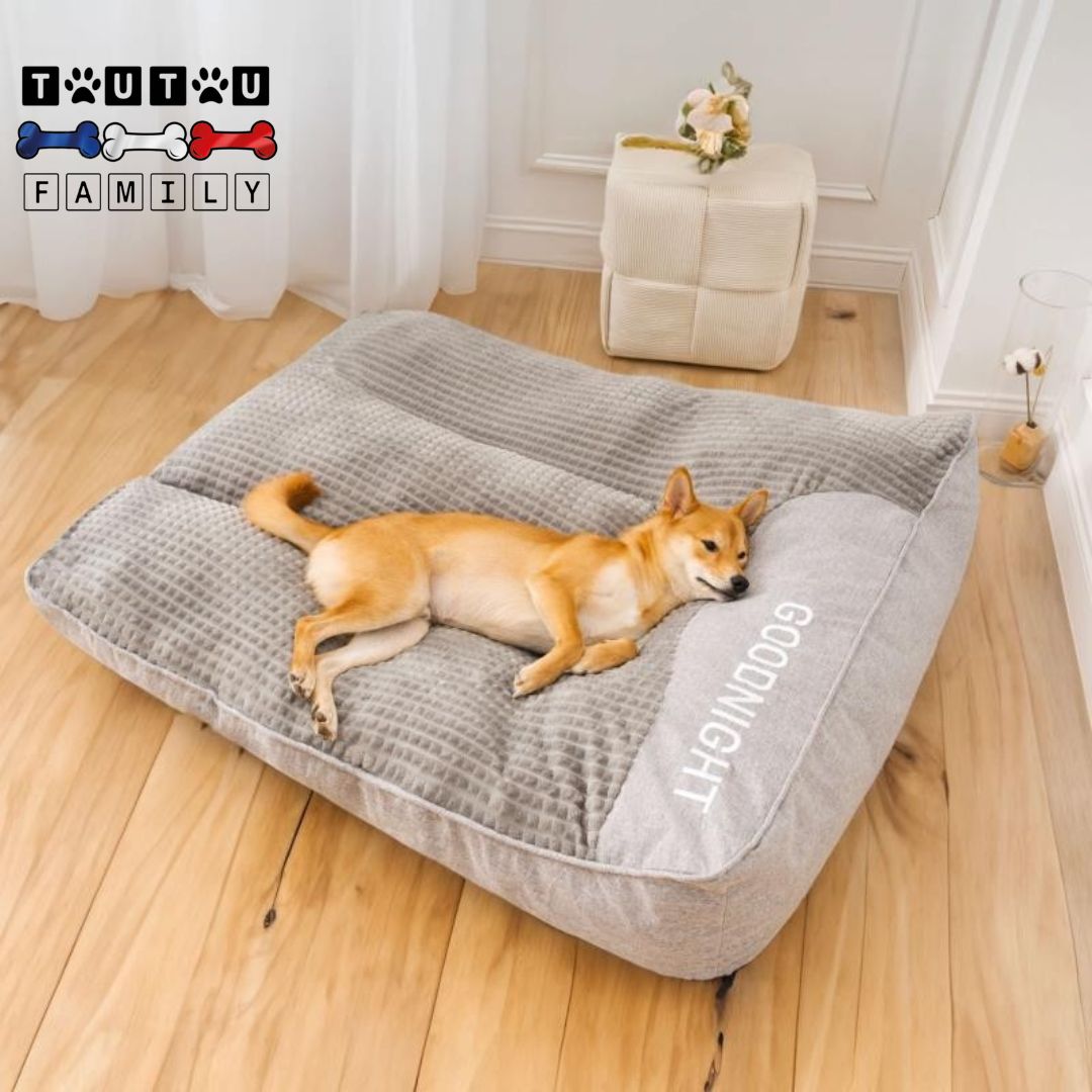 Lit-pour-chien-déhoussable-gris-un-chien-de-taille-moyenne-couché-de-tout-son-long-sur-le-matelas-xxl-spacieux-rembourré-hypoallergénique-déhoussable-lavable-en-machine-avec-traversin-intégré