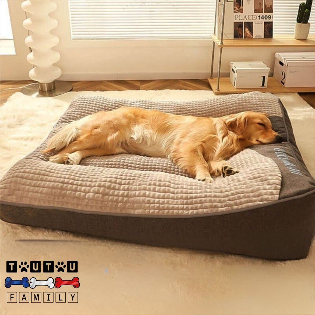 Lit-pour-chien-xxl-marron-déhoussable-rembourrage-épais-100%-coton-haute-densité-lit-surélevé-antidérapant-imperméable