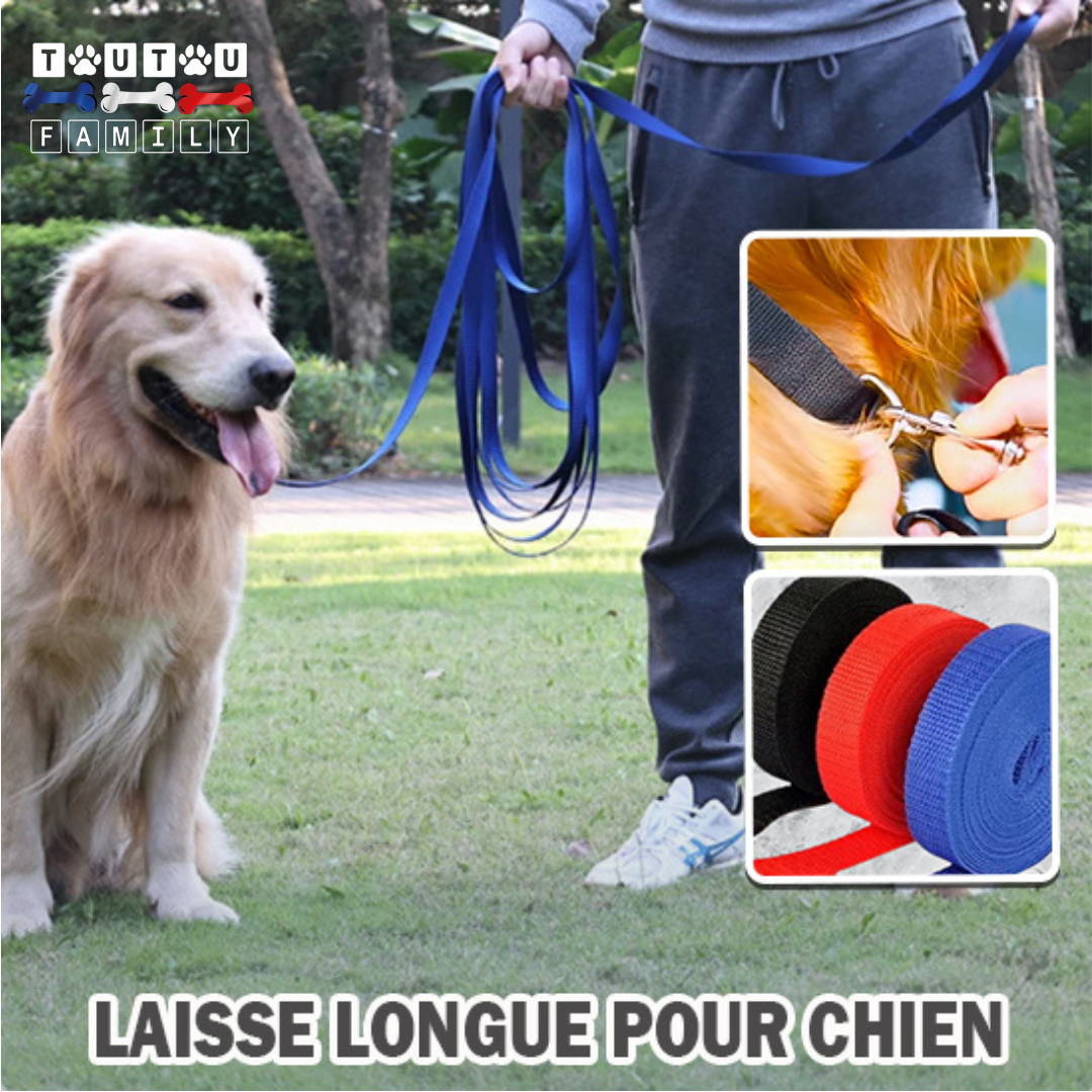 Longe pour chien - LongeToutou™