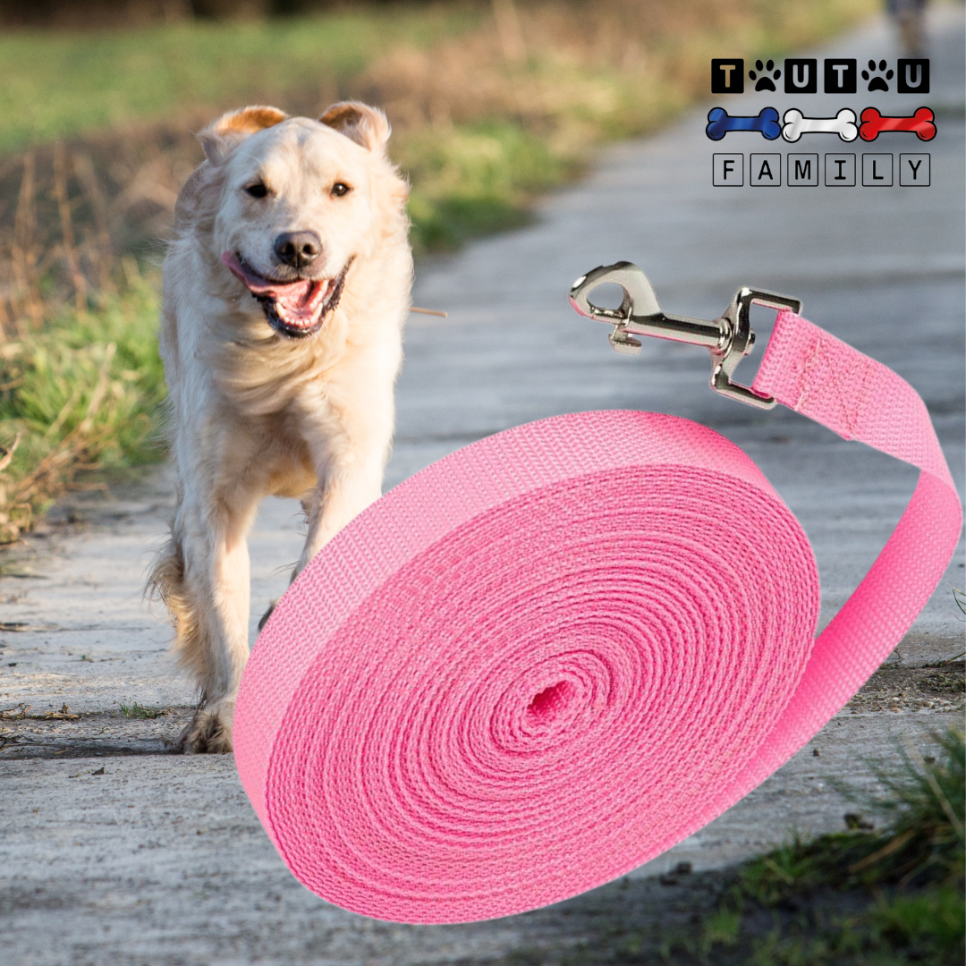 Longe pour chien - LongeToutou™